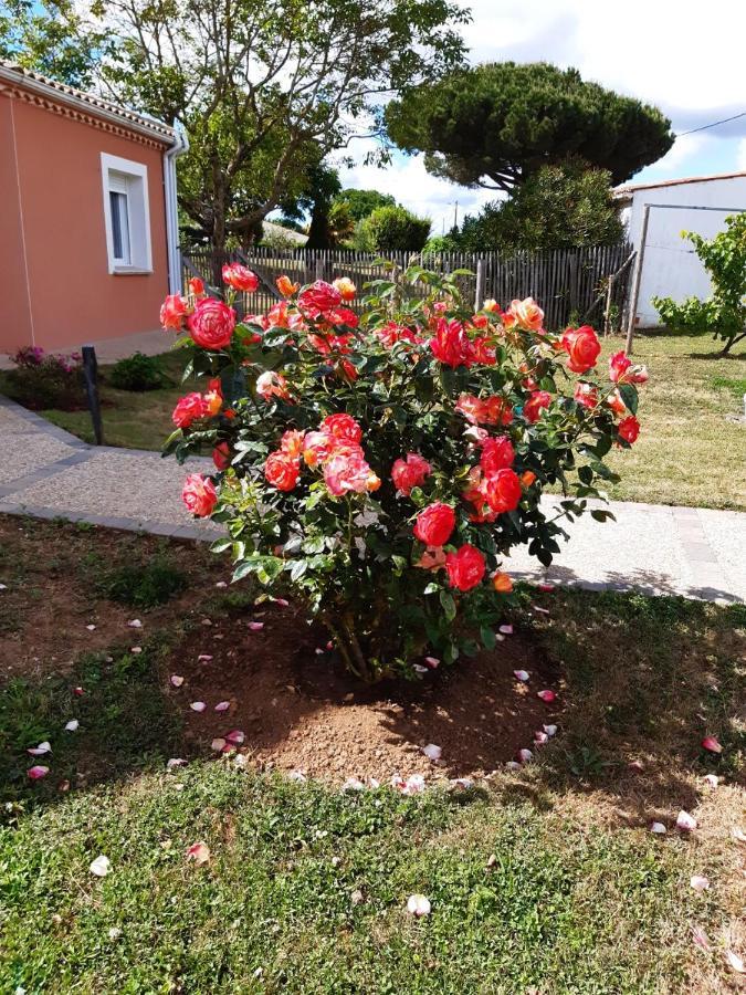 Appartement Independant A 10Min Des Plages Au Calme Proche O'Gliss Et O'Funparken Campagne La Jonchere Екстер'єр фото